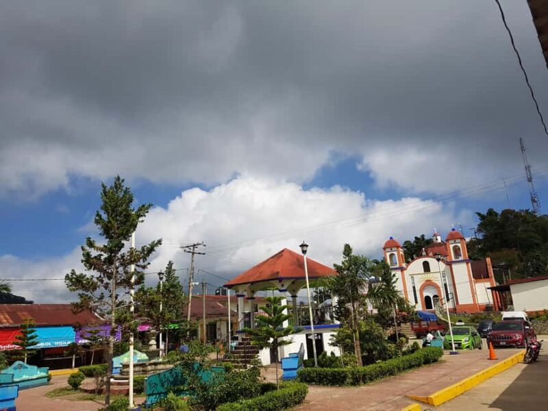 From Huatulco: 3 Levels, Coffee, Culture, and Nature Tour - Key Points