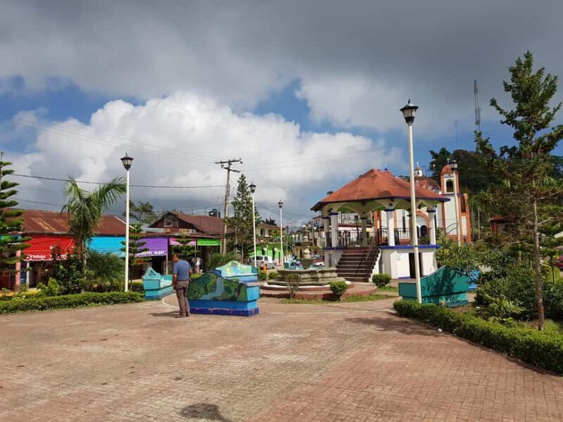 From Huatulco: 3 Levels, Coffee, Culture, and Nature Tour - The Journey from Sea to Sky: What to Expect