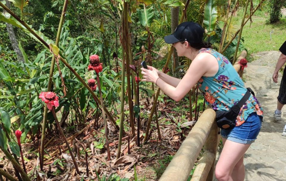 From Huatulco: Coffee and Mezcal Tour - Touring the Coffee Plantation