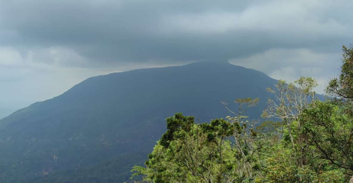 From Huatulco: Coffee and Mezcal Tour - Coffee Cultivation Process