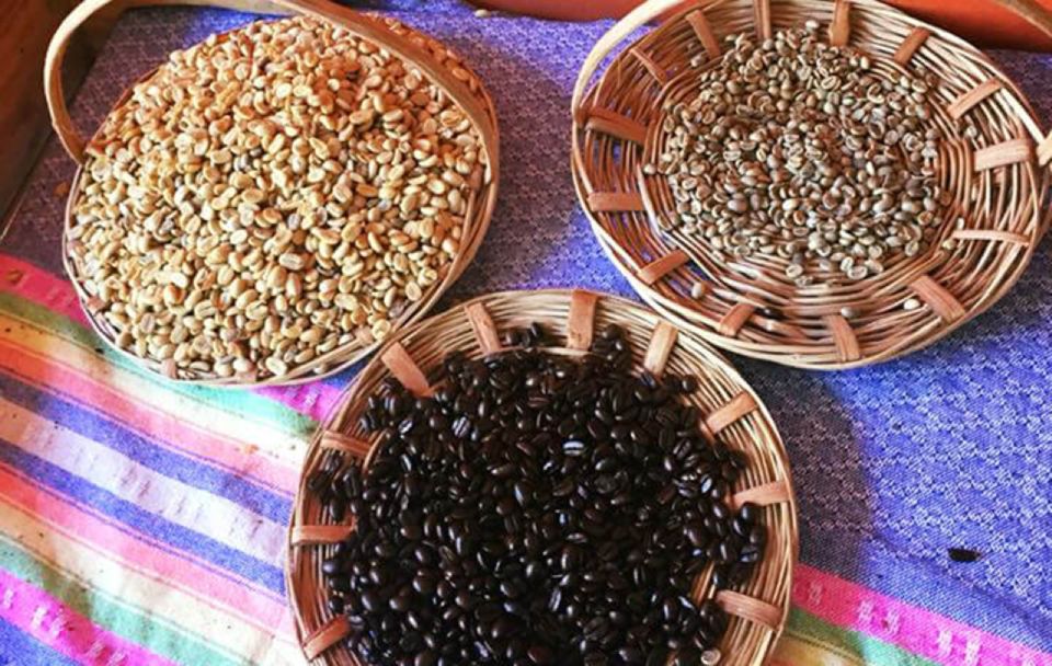From Huatulco: Coffee and Mezcal Tour - Mezcal Production Insights