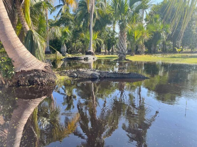 From Huatulco: Crocodile and Turtle Eco-Tour - An In-Depth Look at the Crocodile and Turtle Eco-Tour