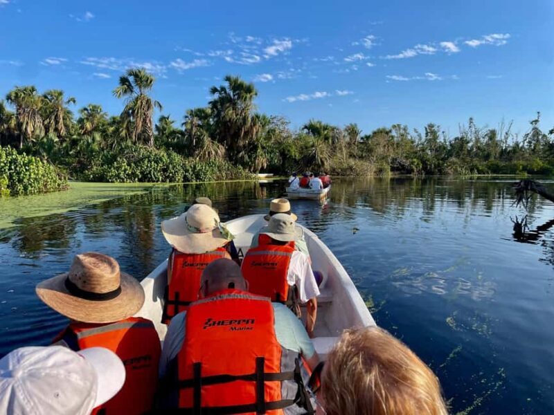 From Huatulco: Crocodile and Turtle Eco-Tour - Why This Tour Is a Great Choice