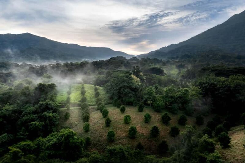 From Huatulco: Exotic garden on an ecotourism ranch and a visit to a viewpoint - Key Points