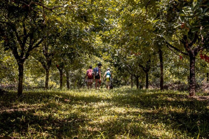 From Huatulco: Exotic garden on an ecotourism ranch and a visit to a viewpoint - Why This Tour Works