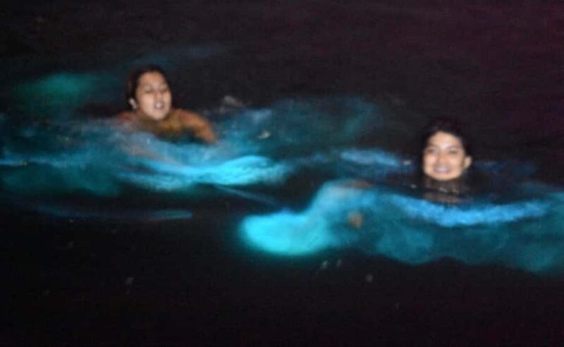 From Huatulco: Magical Bioluminescence Experience - The Itinerary: An Evening of Magic and Flavor