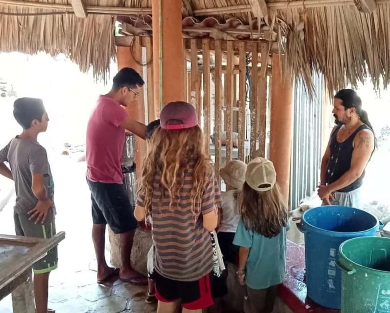 From Huatulco: Magical Bioluminescence Experience - Who Will Love This Experience?