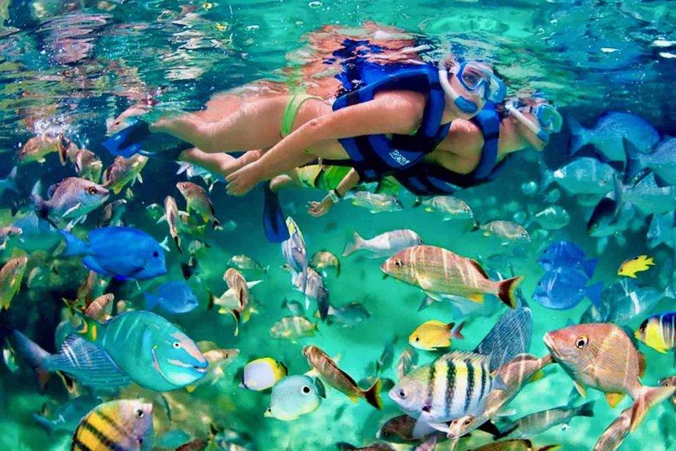 From Huatulco: Private 5 Bays Boat Tour - Bays to Explore