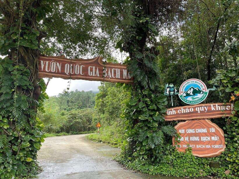From Hue : Bach Ma National Park Luxury Trekking Tour - Participant Restrictions