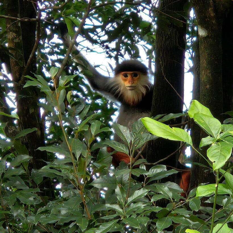From Hue : Bach Ma National Park Luxury Trekking Tour - Recommendations for Preparation