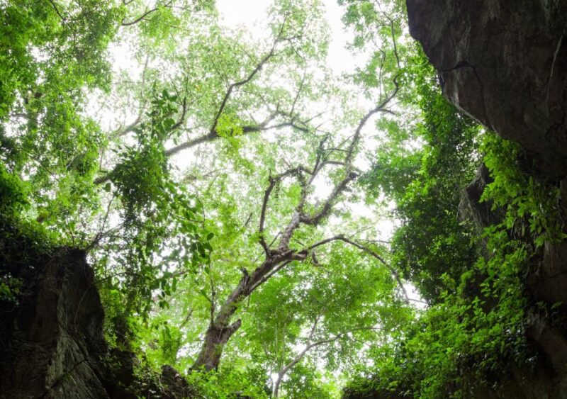 From Hue City: Full-Day Hoi An City Tour & Marble Mountains - Itinerary Highlights