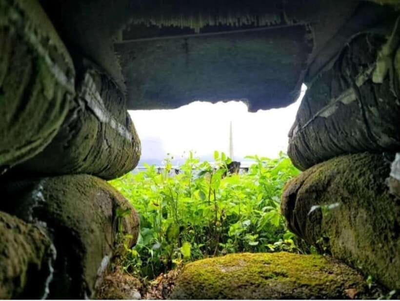 From Hue: Vietnams DMZ Full-Day Group or Private Tour - What to Bring and Restrictions