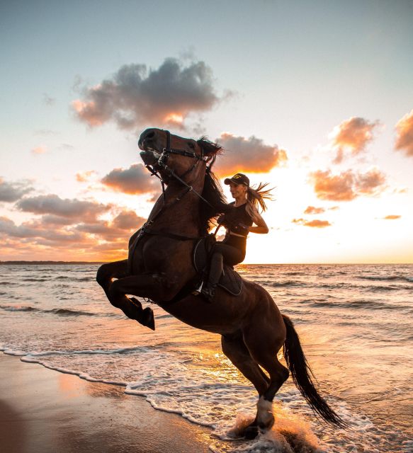 From Hurghada: Makadi Bay Horse Riding Tour - Good To Know