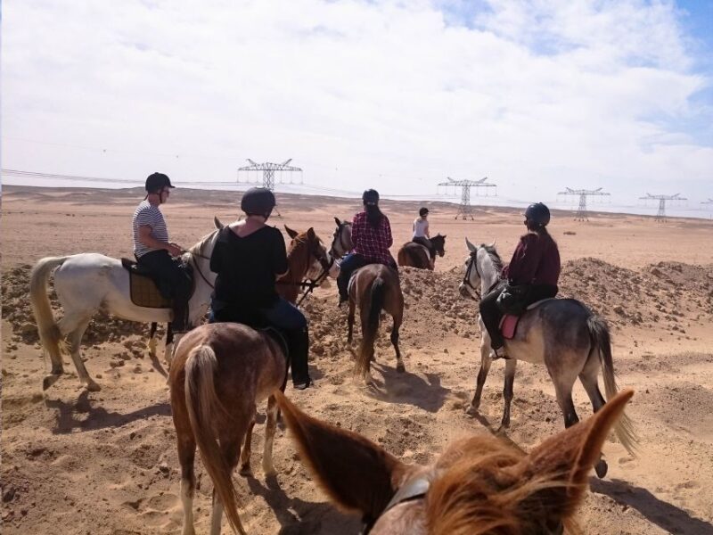 From Hurghada: Makadi Bay Horse Riding Tour - Guided Tour Details