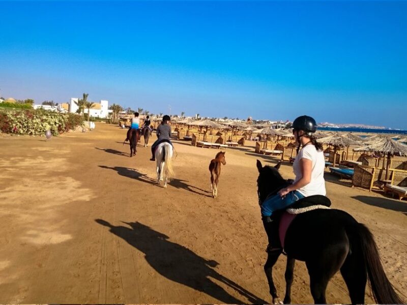 From Hurghada: Makadi Bay Horse Riding Tour - Important Participant Information