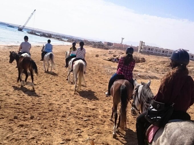 From Hurghada: Makadi Bay Horse Riding Tour - Customer Feedback and Ratings