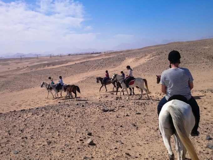 From Hurghada: Makadi Bay Horse Riding Tour - The Sum Up