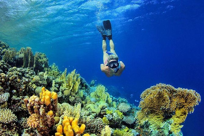 From Hurghada: Paradise Island Full-Day Snorkeling Tour - Exploring Paradise Island