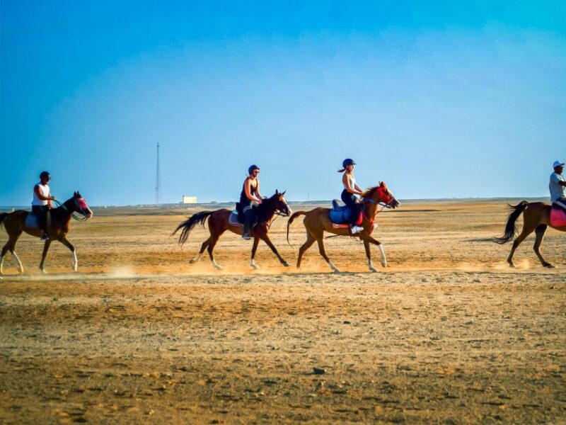 From Hurghada: Red Sea Sunrise and Desert Horseback Riding - Detailed Itinerary