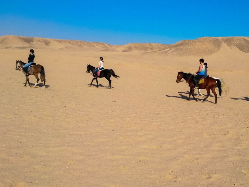 From Hurghada: Red Sea Sunrise and Desert Horseback Riding - Customer Reviews and Ratings