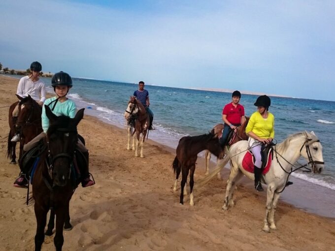 From Hurghada: Red Sea Sunrise and Desert Horseback Riding - Tips for First-Time Riders