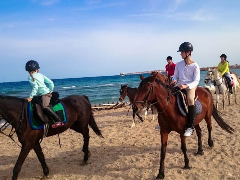 From Hurghada: Red Sea Sunrise and Desert Horseback Riding - Good To Know