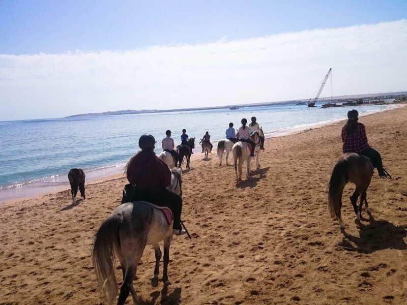 From Hurghada: Red Sea Sunrise and Desert Horseback Riding - Itinerary Details