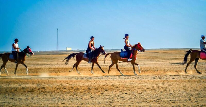 From Hurghada: Red Sea Sunrise and Desert Horseback Riding - Experience Highlights