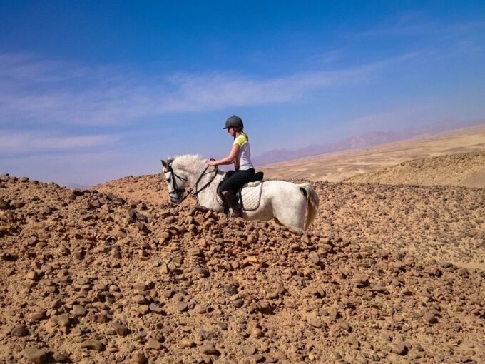 From Hurghada: Red Sea Sunrise and Desert Horseback Riding - Tips for Riders