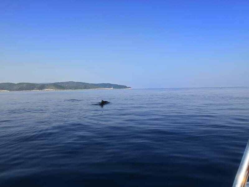 From Hvar: Unforgetable Tour to the Island Vis and Blue Cave - FAQs