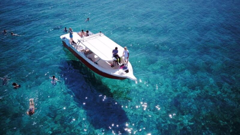 From Hvar: Vis Island and Blue Cave Speedboat Tour - Who Should Consider This Tour?