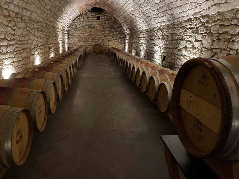 From Iai: Mimi Castle Wine Tasting Day Trip - An In-Depth Look at the Tour Experience