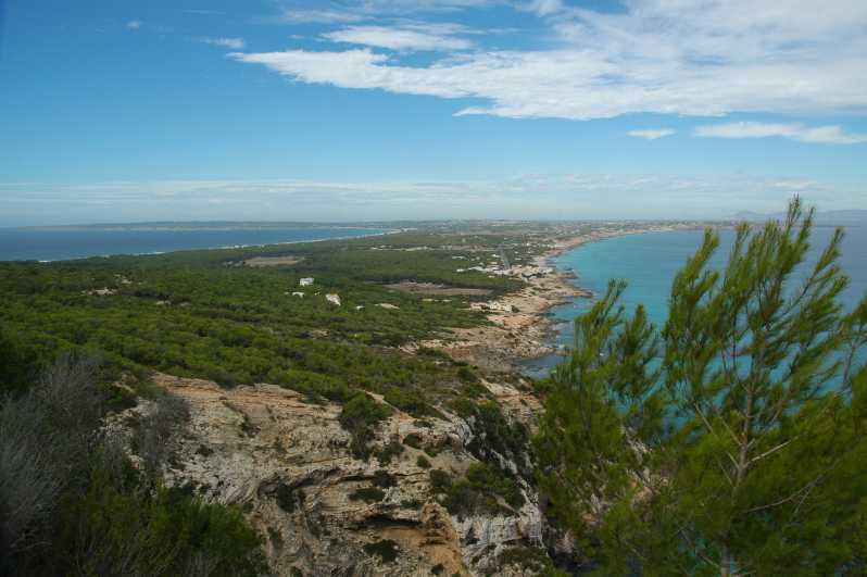 From Ibiza: Ferry and Guided Bus Excursion in Formentera - Tour Features