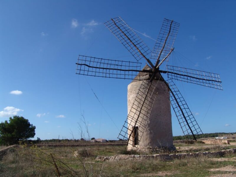 From Ibiza: Ferry and Guided Bus Excursion in Formentera - Customer Reviews and Ratings