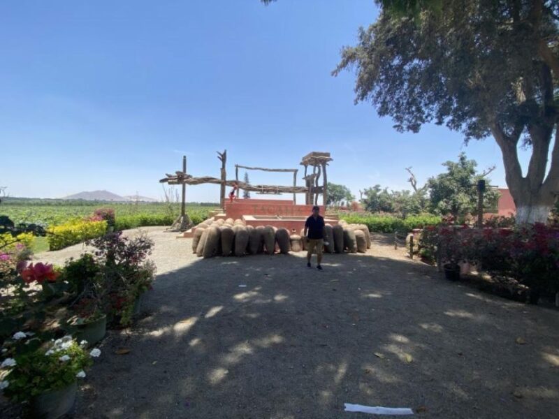 From Ica: Tour to Wine and Pisco Vineyards | Free Tasting | - Booking Information