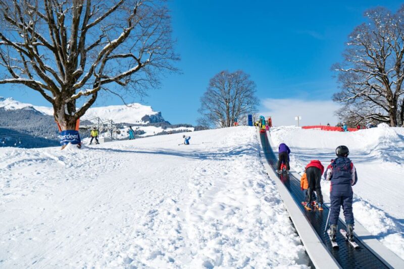From Interlaken: Grindelwald Beginners Snowboarding Lesson - Restrictions and Requirements