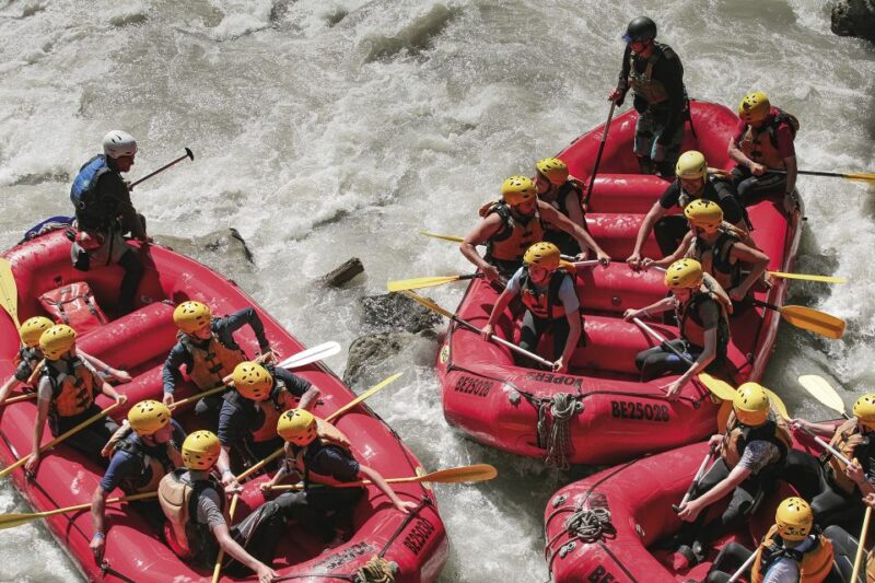 From Interlaken: River Rafting Adventure on Simme River - Professional Guides