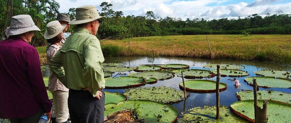 From Iquitos | 3-Day Adventure on the Yanayacu River | - Night Wildlife Observation