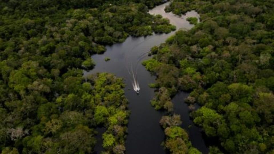 From Iquitos: 3-Day Amazon Jungle Adventure Trip - Arrival and Departure