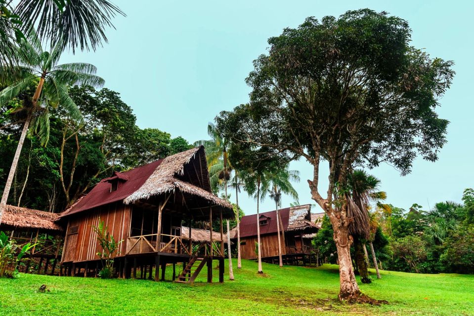From Iquitos: 3-day Pacaya Samiria National Reserve Tour - Key Points