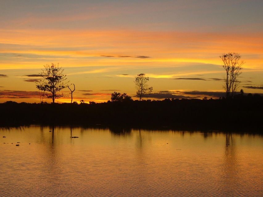 From Iquitos: 3-day Pacaya Samiria National Reserve Tour - Connectivity at the Lodge