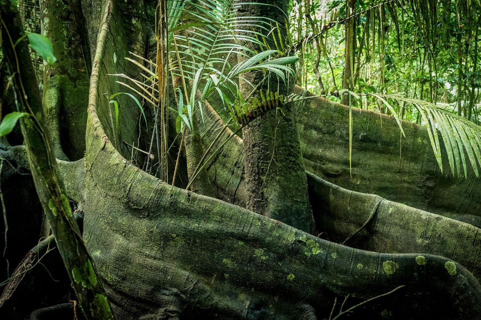 From Iquitos || 3-Day Tour Pacaya Samiria National Reserve || - What to Bring
