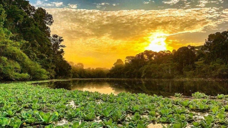 From Iquitos || 4 Day Yanayacu River Tour With Bird Watching - Itinerary Highlights