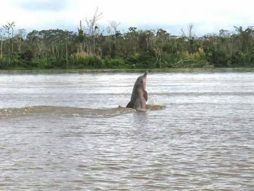 From Iquitos || 4 Day Yanayacu River Tour With Bird Watching - Packing Essentials