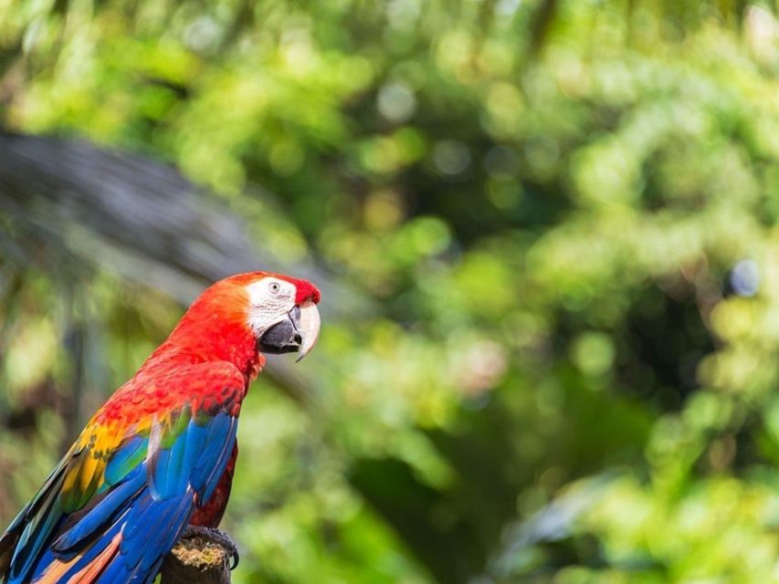 From Iquitos: Amazonas 2 Days 1 Night - Welcome and Lunch at Hostel