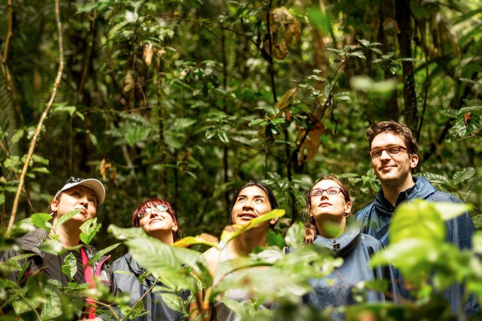 From Iquitos: Amazonas 2 Days 1 Night - Sunset Viewing and Night Walk