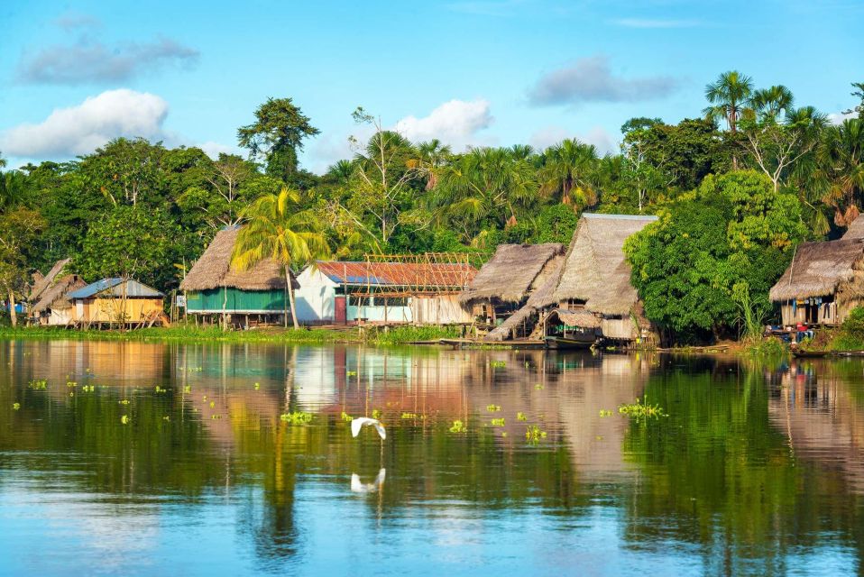 From Iquitos || Ayahuasca Ceremony in Iquitos - for 5 Hours - Purpose and Healing Benefits