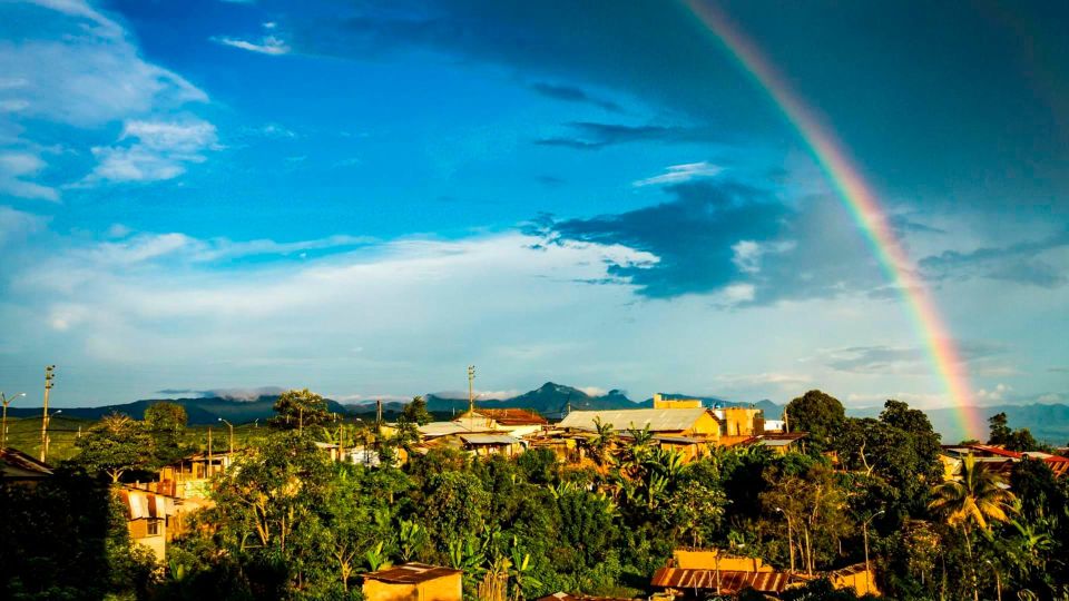 From Iquitos: Basic Tarapoto (4D/3N) - Itinerary Details