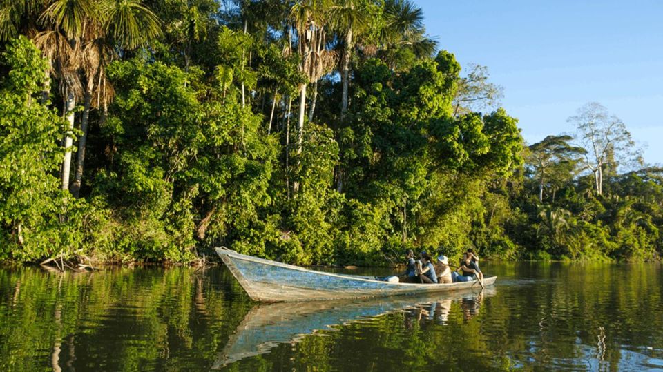 From Iquitos: Full Day Tour in the Peruvian Jungle - Itinerary Highlights