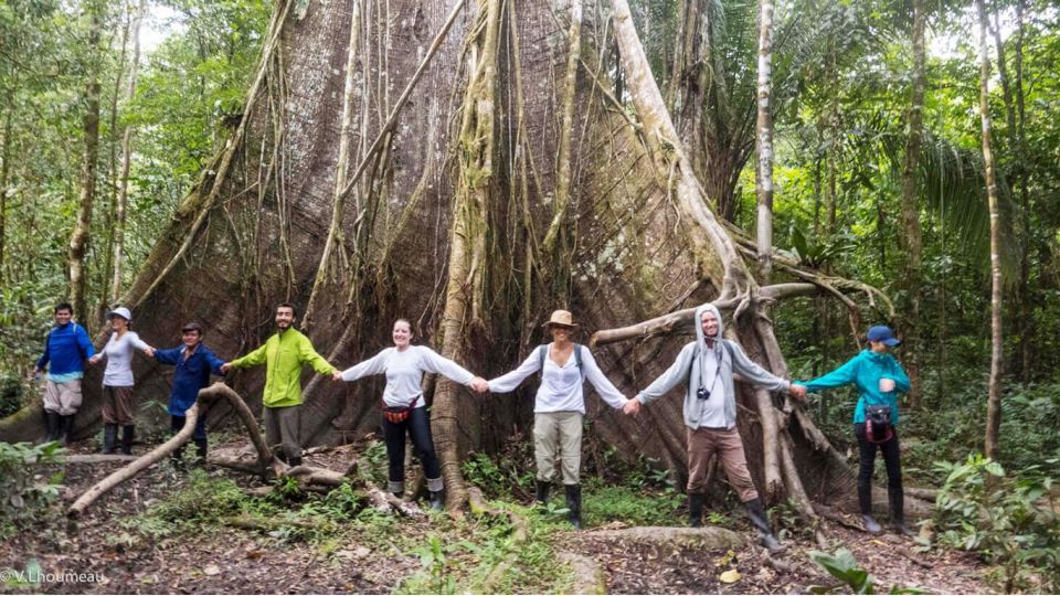 From Iquitos: Full Day Tour in the Peruvian Jungle - Customer Feedback